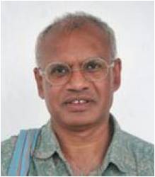 Bipin Indurkhya