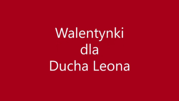 Walentynkowa zbiórka dla zwierząt