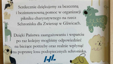 Bieg Charytatywny – wsparcie dla Schroniska dla Zwierząt